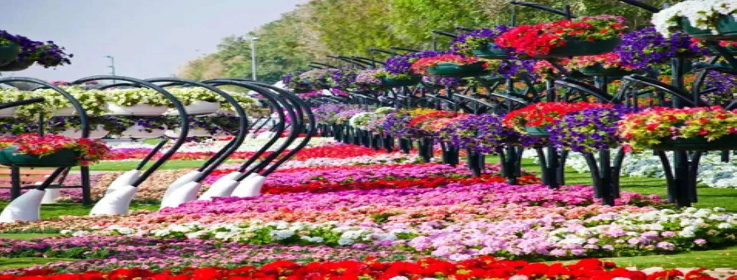 Image for Gardens